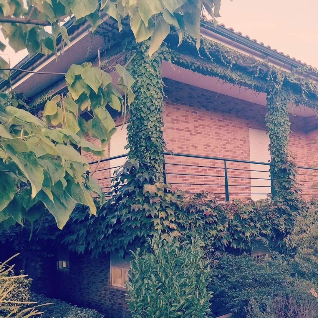 Casa Campo Ao Rio_Village بارسيلوس المظهر الخارجي الصورة