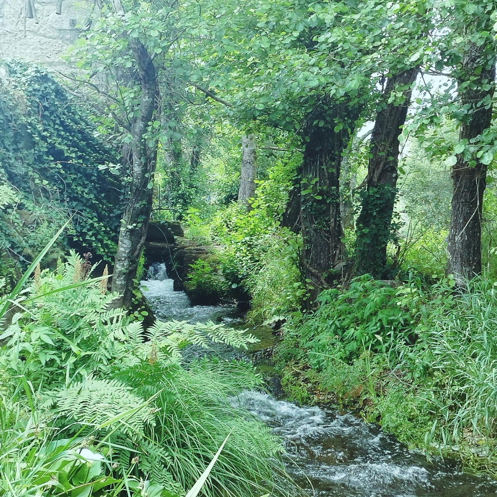 Casa Campo Ao Rio_Village بارسيلوس المظهر الخارجي الصورة